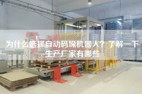 為什么選擇自動(dòng)碼垛機(jī)器人？了解一下生產(chǎn)廠家有哪些