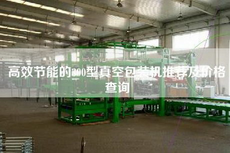 高效節能的300型真空包裝機推薦及價格查詢