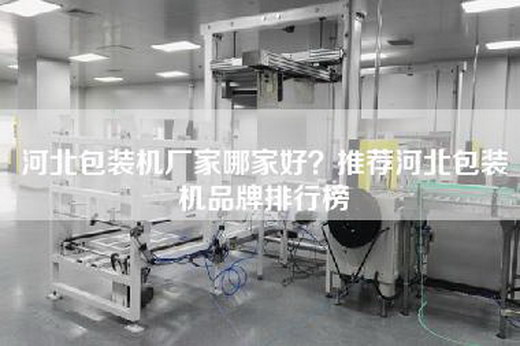 河北包裝機廠家哪家好？推薦河北包裝機品牌排行榜