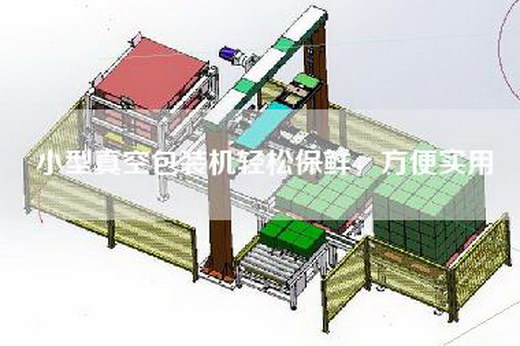 小型真空包裝機輕松保鮮，方便實用