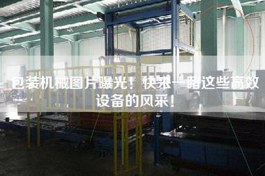 包裝機(jī)械圖片曝光!快來(lái)一睹這些高效設(shè)備的風(fēng)采!