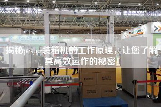 揭秘pester裝箱機(jī)的工作原理，讓您了解其高效運(yùn)作的秘密！