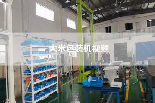 大米包裝機(jī)視頻