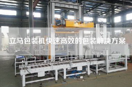 立馬包裝機快速高效的包裝解決方案