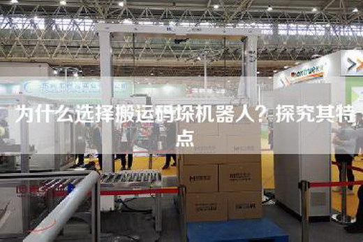 為什么選擇搬運碼垛機器人？探究其特點