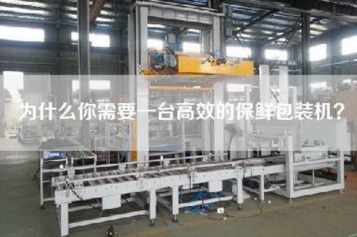 為什么你需要一臺高效的保鮮包裝機(jī)? 為什么你需要一臺高效的保鮮包裝機(jī)?