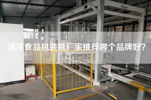 速凍食品包裝機廠家推薦哪個品牌好? 速凍食品包裝機廠家推薦哪個品牌好?