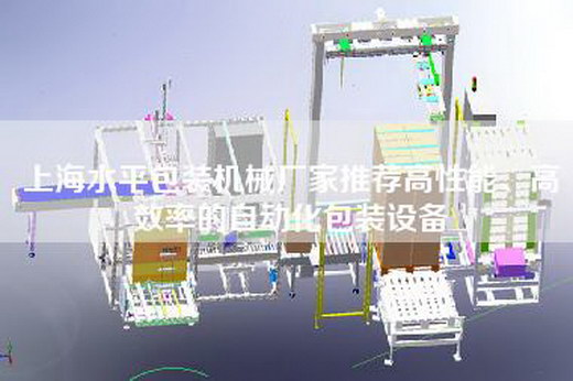 上海水平包裝機械廠家推薦高性能、高效率的自動化包裝設備