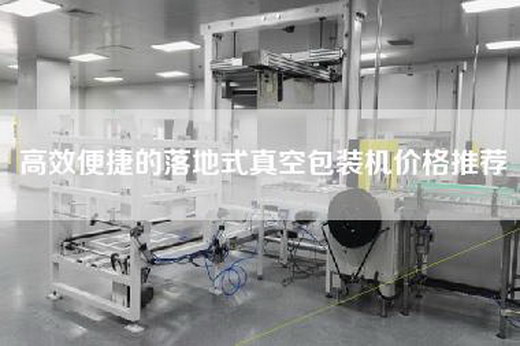 高效便捷的落地式真空包裝機(jī)價格推薦