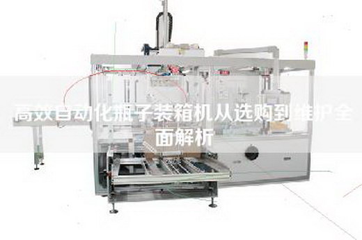 高效自動化瓶子裝箱機從選購到維護全面解析