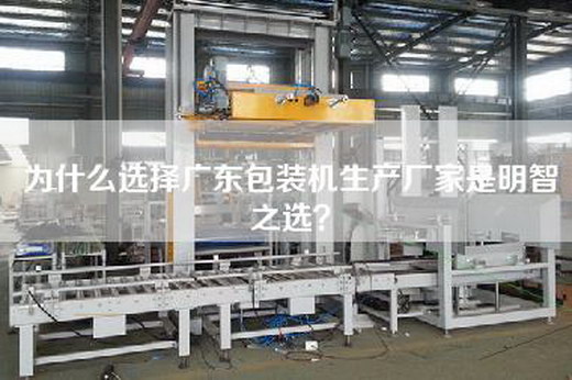 為什么選擇廣東包裝機生產廠家是明智之選?
