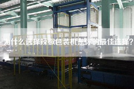為什么選擇辣椒包裝機(jī)是你的最佳選擇？