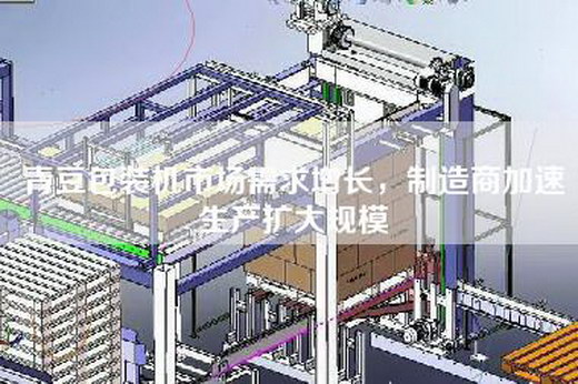 青豆包裝機市場需求增長,制造商加速生產擴大規模 青豆包裝機市場需求增長,制造商加速生產擴大規模
