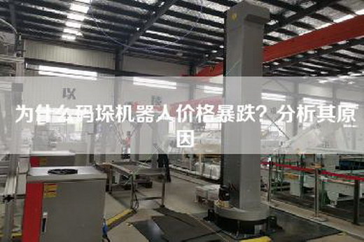 為什么碼垛機器人價格暴跌？分析其原因