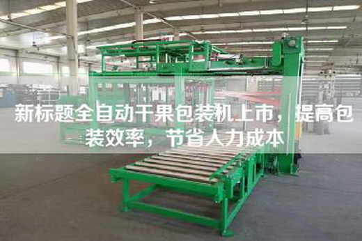 新標題全自動干果包裝機上市，提高包裝效率，節省人力成本