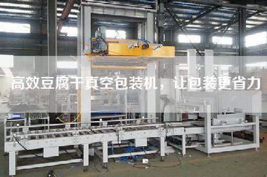 高效豆腐干真空包裝機(jī)，讓包裝更省力