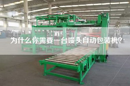為什么你需要一臺饅頭自動包裝機?