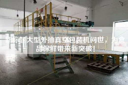 新標題大型外抽真空包裝機問世，為食品保鮮帶來新突破！