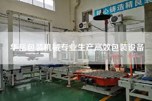華岳包裝機(jī)械專(zhuān)業(yè)生產(chǎn)高效包裝設(shè)備 華岳包裝機(jī)械專(zhuān)業(yè)生產(chǎn)高效包裝設(shè)備