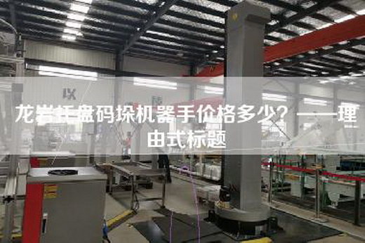 龍巖托盤(pán)碼垛機(jī)器手價(jià)格多少？——理由式標(biāo)題