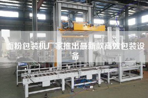 面粉包裝機廠家推出最新款高效包裝設備