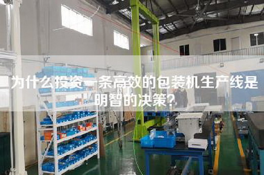 為什么投資一條高效的包裝機生產線是明智的決策? 為什么投資一條高效的包裝機生產線是明智的決策?