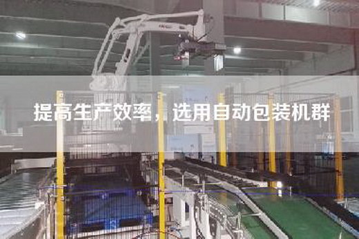 提高生產(chǎn)效率，選用自動包裝機(jī)群