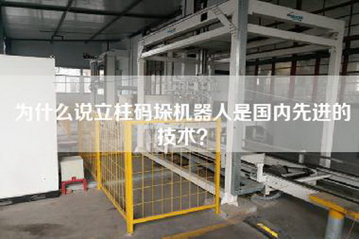 為什么說立柱碼垛機器人是國內先進的技術？