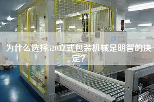 為什么選擇520立式包裝機械是明智的決定？