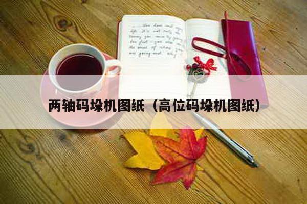 兩軸碼垛機圖紙(高位碼垛機圖紙)