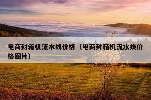 電商封箱機流水線價格(電商封箱機流水線價格圖片)