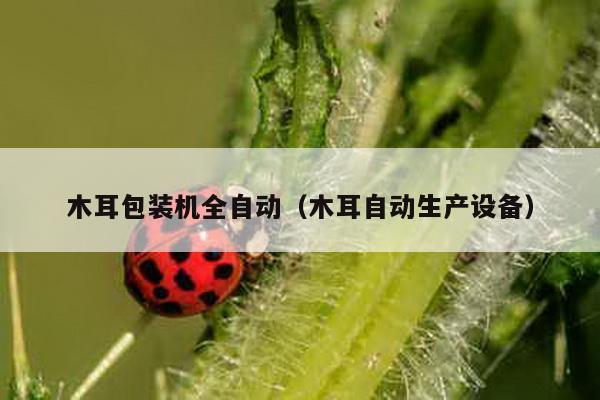 木耳包裝機全自動(木耳自動生產設備)