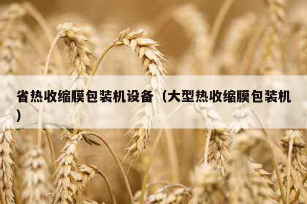 省熱收縮膜包裝機設備(大型熱收縮膜包裝機)