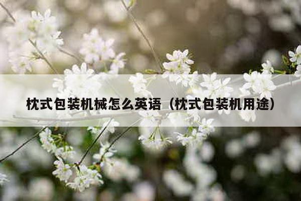 枕式包裝機械怎么英語(枕式包裝機用途)
