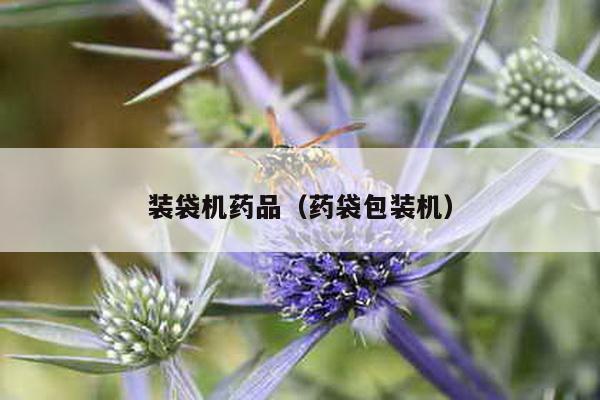 裝袋機(jī)藥品(藥袋包裝機(jī))