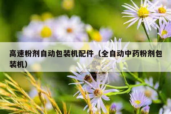 高速粉劑自動(dòng)包裝機(jī)配件(全自動(dòng)中藥粉劑包裝機(jī))