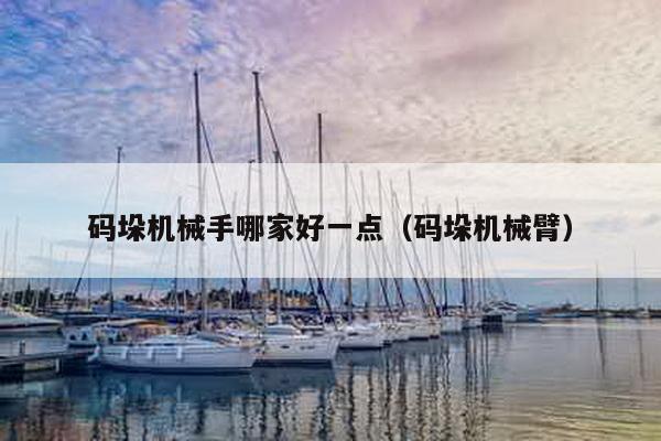 碼垛機械手哪家好一點(碼垛機械臂)