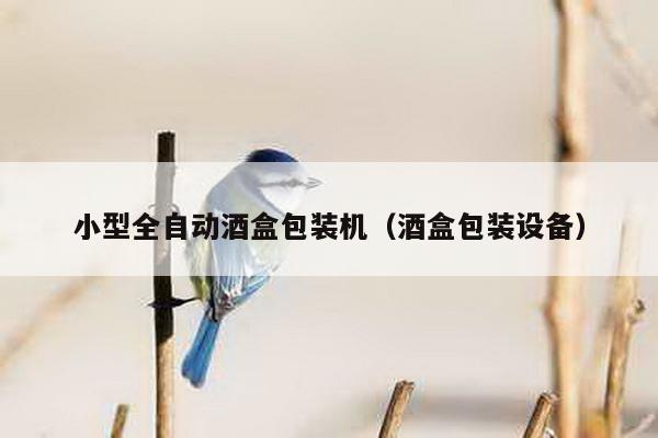小型全自動酒盒包裝機(酒盒包裝設備)