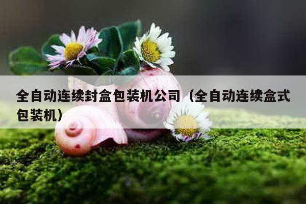 全自動連續封盒包裝機公司(全自動連續盒式包裝機)