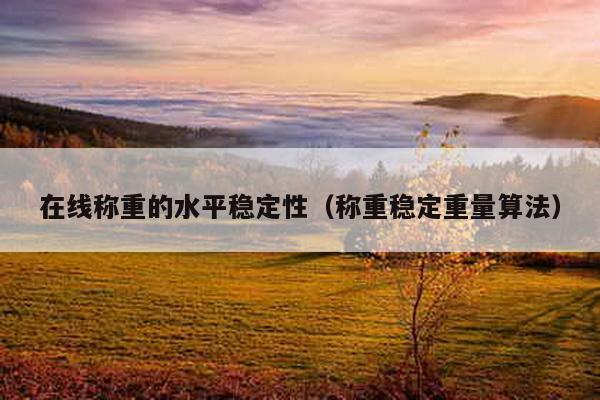 在線稱重的水平穩(wěn)定性(稱重穩(wěn)定重量算法)