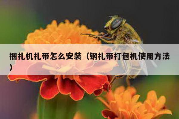 捆扎機扎帶怎么安裝(鋼扎帶打包機使用方法)