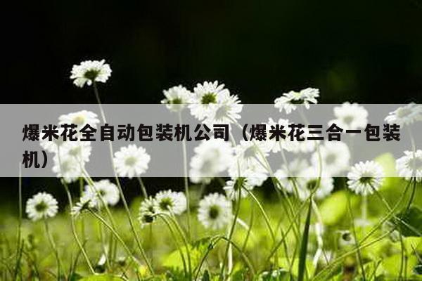 爆米花全自動包裝機公司(爆米花三合一包裝機)
