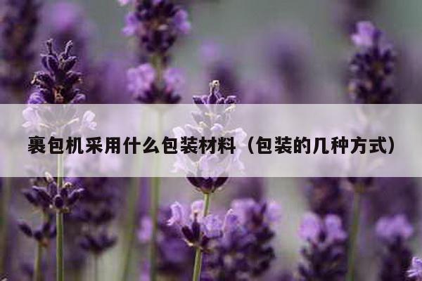 裹包機(jī)采用什么包裝材料(包裝的幾種方式)