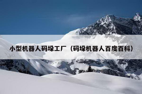 小型機器人碼垛工廠(碼垛機器人百度百科)