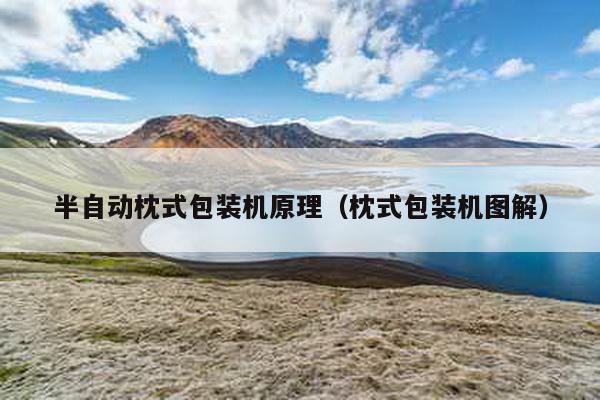 半自動(dòng)枕式包裝機(jī)原理(枕式包裝機(jī)圖解)