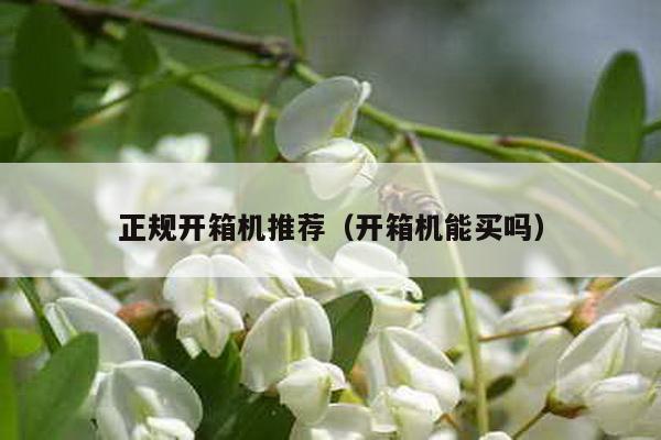 正規開箱機推薦(開箱機能買嗎)