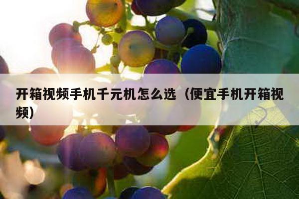 開箱視頻手機(jī)千元機(jī)怎么選(便宜手機(jī)開箱視頻)