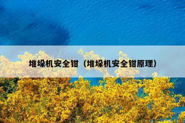 堆垛機(jī)安全鉗(堆垛機(jī)安全鉗原理)