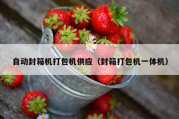 自動封箱機打包機供應(封箱打包機一體機)
