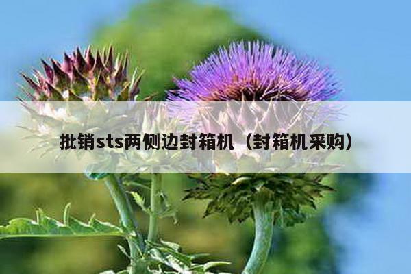 批銷sts兩側邊封箱機(封箱機采購)